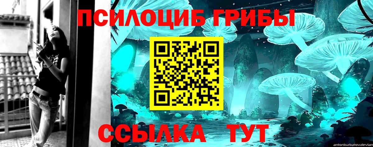 продажа наркотиков  Галлюциногенные грибы GOLDEN TEACHER  Вход с VPN  Новосибирск  Псилоцибиновые грибы мицелий 
